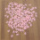 15pcs Crown Confetti Theme Party Style Scatter 11