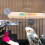 Bird Rustplatform Hout Beweging Gemakkelijk Schoon Te Maken 6
