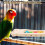 Bird Rustplatform Hout Beweging Gemakkelijk Schoon Te Maken 8