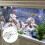 Fully Adjustable Filter Sock Bracket Ring Bag Holder For Aquarium 9