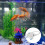 Fully Adjustable Filter Sock Bracket Ring Bag Holder For Aquarium 10