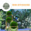 Artificial Plant Topiary Ball Frame Green Plastic 3pcs 7