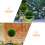 Artificial Plant Topiary Ball Frame Green Plastic 3pcs 8