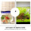 Fish Tank Water Changer Fish Stool Suction 1pack 8