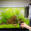 Fish Tank Water Changer Fish Stool Suction 1pack 5