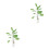 2Stk Bananenbaum Topfpflanze Modell 15x4Cm 3