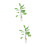 2Stk Bananenbaum Topfpflanze Modell 15x4Cm 7