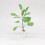 2Stk Bananenbaum Topfpflanze Modell 15x4Cm 9