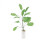 2Stk Bananenbaum Topfpflanze Modell 15x4Cm 1