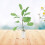 2Stk Bananenbaum Topfpflanze Modell 15x4Cm 8