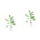 2Stk Bananenbaum Topfpflanze Modell 15x4Cm 4