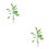 2Stk Bananenbaum Topfpflanze Modell 15x4Cm 6