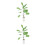 2Stk Bananenbaum Topfpflanze Modell 15x4Cm 5
