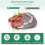 Vacuum Packaging Bag Fresh-Keeping Sealing Machine Packaging Machine 2