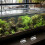 4 Aquariumdeksel Handvatten Visserijtank 5