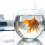 4 Aquariumdeksel Handvatten Visserijtank 3