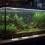4 Aquariumdeksel Handvatten Visserijtank 4
