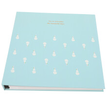 Dried Flower Pocket Album Specimen Management Light Green 1pcs
