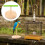 Small Bird Perch Playstand Training Stand for Parrot Cage Toy 5