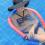 Swimming Pool Mats, Floating Pads, Mesh Covers, Foam Float Pads, 3