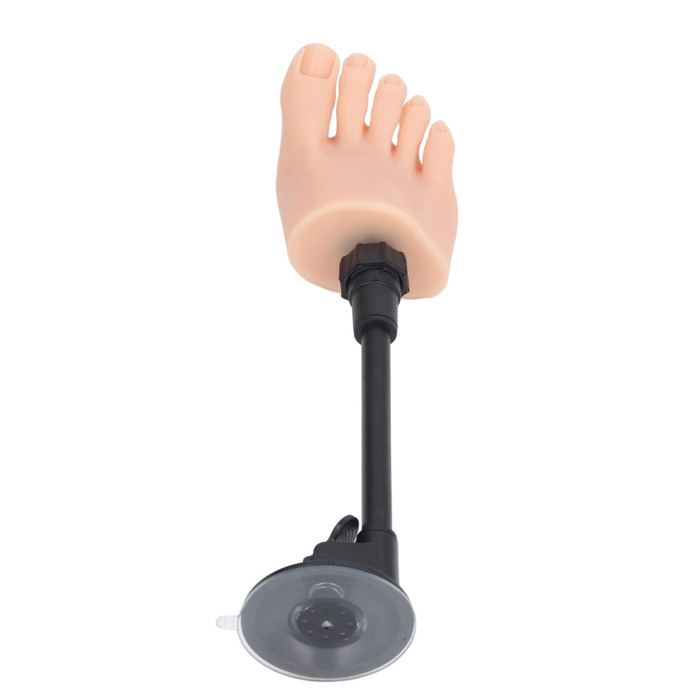 Silicone Nail Practice Foot Model for Salon Training, Right Foot