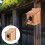 Vogelhuis Voor En Broednest 5