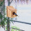Vogelhuis Voor En Broednest 11