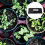 USB Adjustable Heating Mat for Plant Germination 5