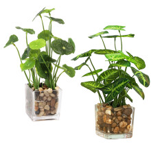 2 Pcs Greenery Bonsai Plant Potted Ornaments Office