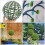 3pcs Artificial Plant Topiary Ball Support Cage Plastic Frame 3