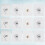 Acrylic Adhesive Hook 12pcs For Wall Decoration 6
