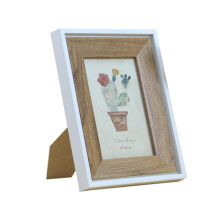 Mlins 6 Inch Random Style Color Photo Frame Green Plant