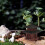 PP Mini Statue Pagode Bonsai Garten Deko 6