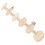 ladderplatform en kooibrug hamsters en cavia's 10