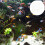 Fish Tank Accessory Polyethylene 6pcs 11.8x5.9in 11