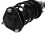 TRQ Front Left Complete Strut & Coil Spring Assembly Drivers Side Compatible with 20142017 Lexus CT200h 4