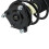 TRQ Front Left Complete Strut & Coil Spring Assembly Drivers Side Compatible with 2017-2022 Honda CR-V 4