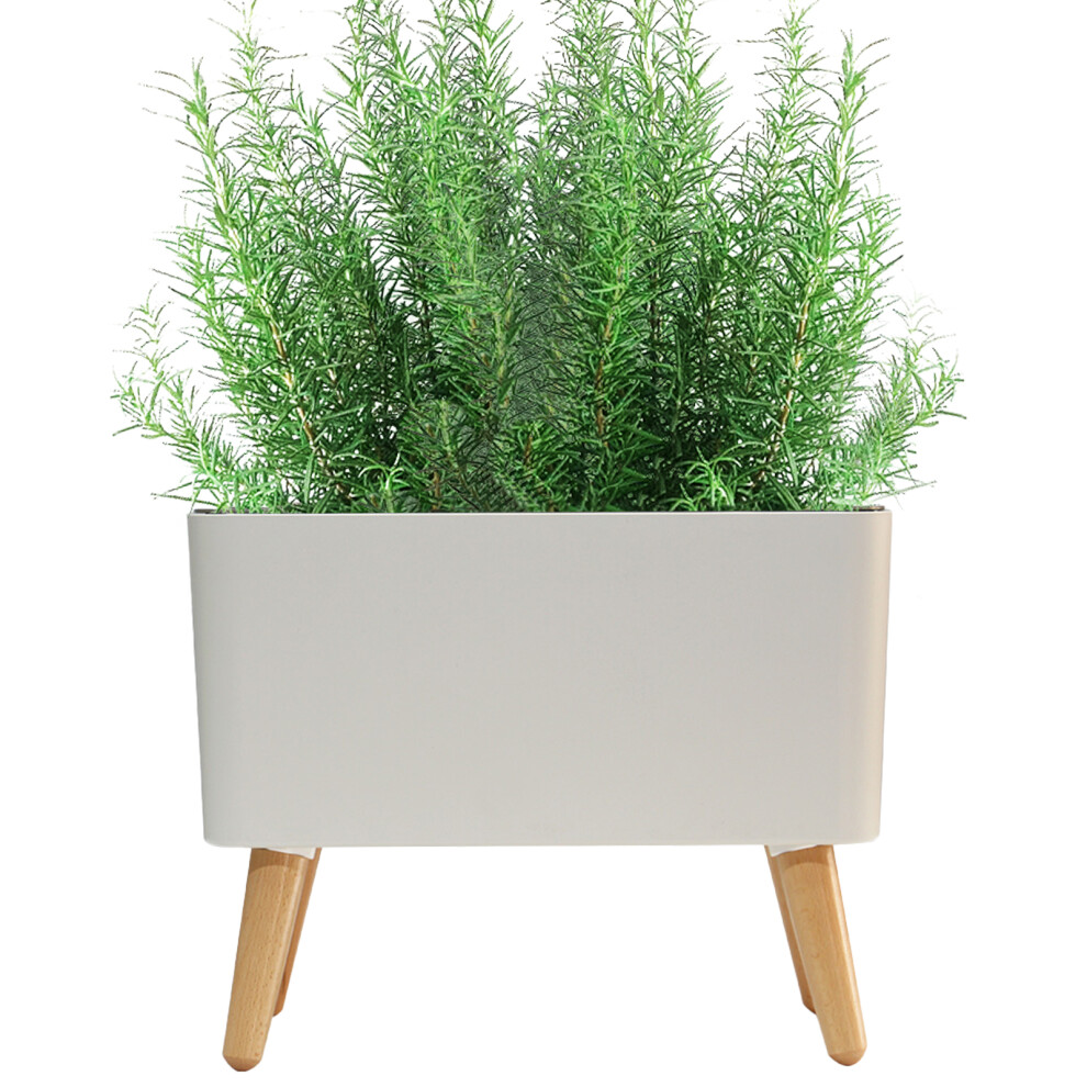 Smart Indoor Plant Pot with Water Alarm, 0.75L Egg-Shaped in Beech-image-OPC-PKC8W7Z-NEW