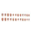 False Nails, Soft Style False Nails, 24 Pieces Camellia Models + Kit 1