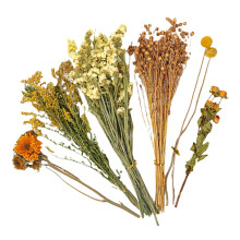 Dried Flower Hamster Bedding - Natural Floral Bean Bedding 9.84 Inches for Hamster Cages and Habitats
