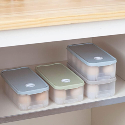 10 Grid Egg Storage Organizer Light Blue Large Capacity Container for Refrigerator and Freezer, Single Layer Design 1