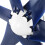 Professional Wind Turbines Small Windmill 14