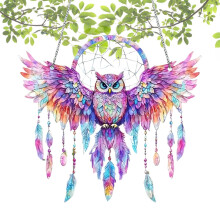 7.8x6.7 Inch Colorful Owl Sun Catcher, 2D Acrylic Window Decoration, Feather Dream Catcher, Home Wall Pendant Decor