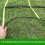 Light weight Foldable Training Tool For Speed Agility-Yellow 6