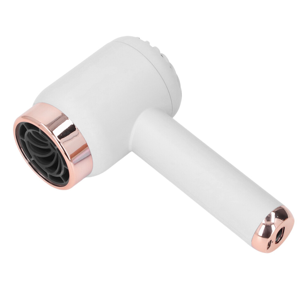 Portable Ionic Hair Dryer with Cordless & Plug-In Modes Fast Drying