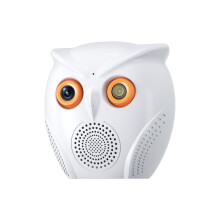 Owl Shape Smart Security Camera with Bluetooth Speaker, 1080P HD, WiFi Wireless, Night Vision, Voice Alarm, 64GB Storage
