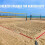 Beach Volleyball Courts Boundaries Line Kits-Red and blue 6