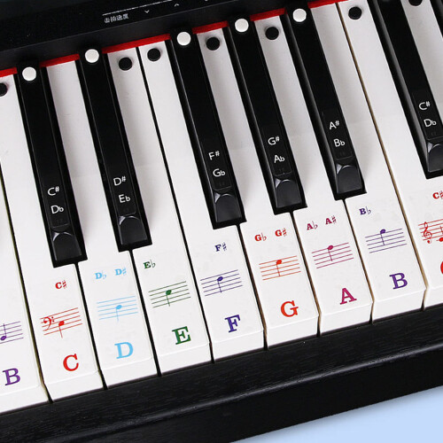 Clear Music Learning Stickers Reusable Training Tool with-Black 2