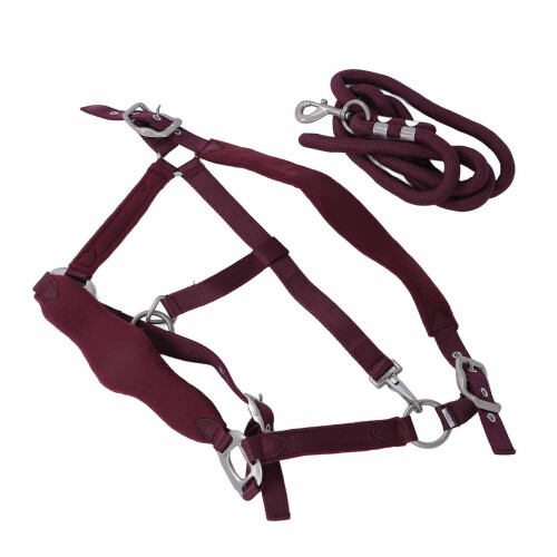 Horse Halter Set Prevent Rubbing Adjustable Horse 1