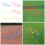 Agility Speed Training Agility Hurdles for Athletes, 5-Blue 3